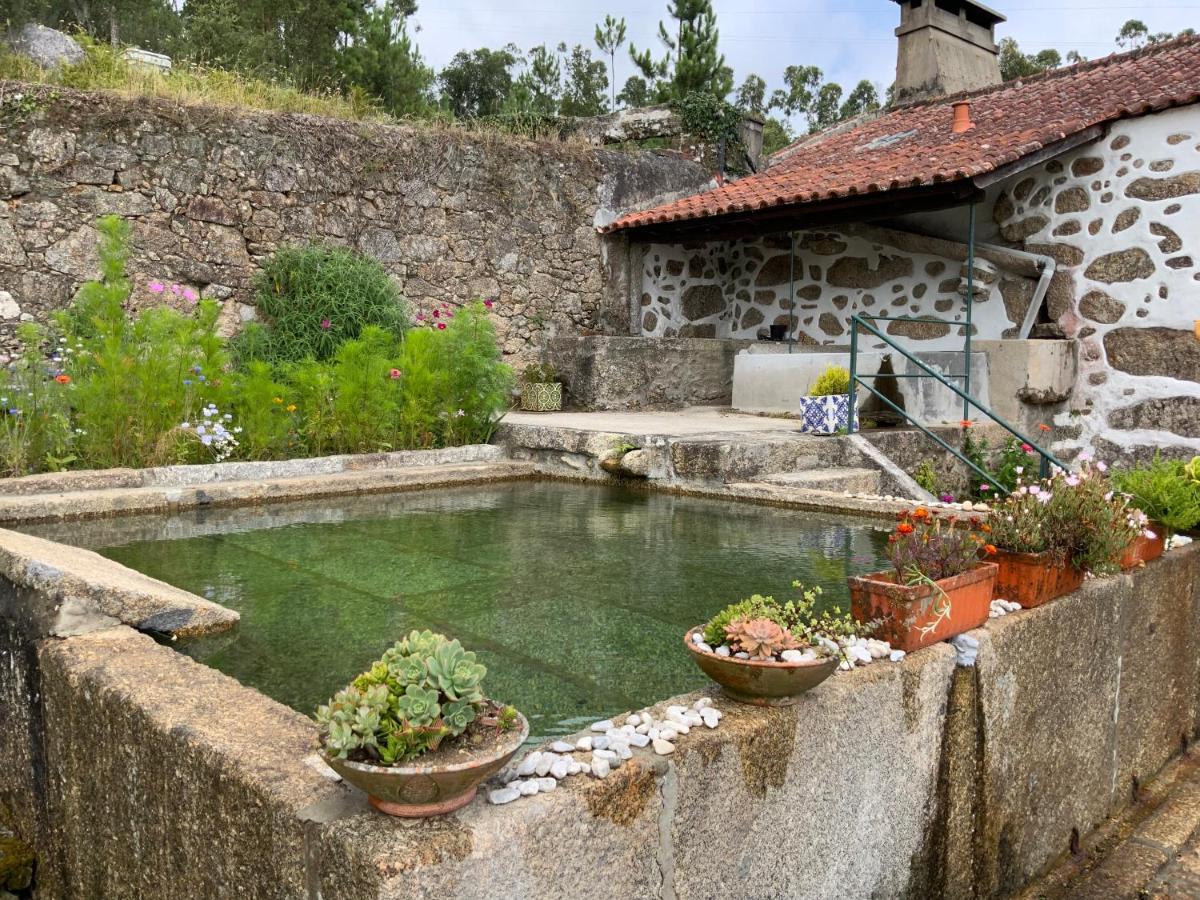 Quinta Do Bravio Βίλα Barroselas Εξωτερικό φωτογραφία