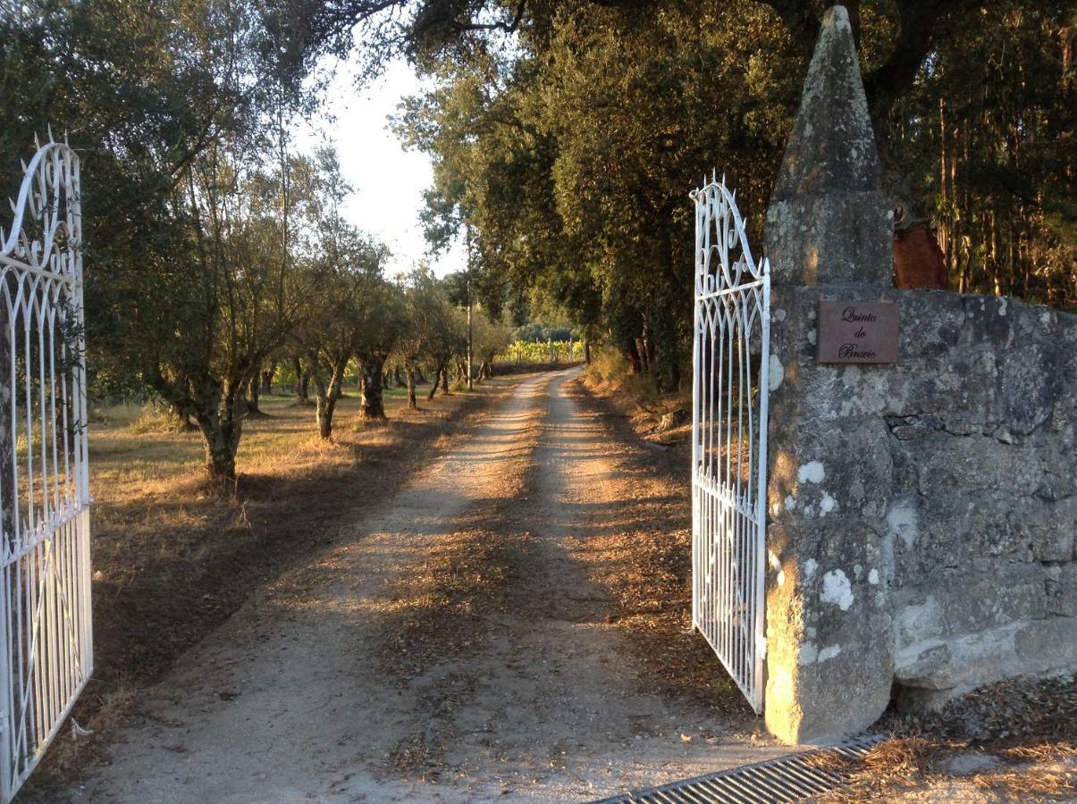 Quinta Do Bravio Βίλα Barroselas Εξωτερικό φωτογραφία